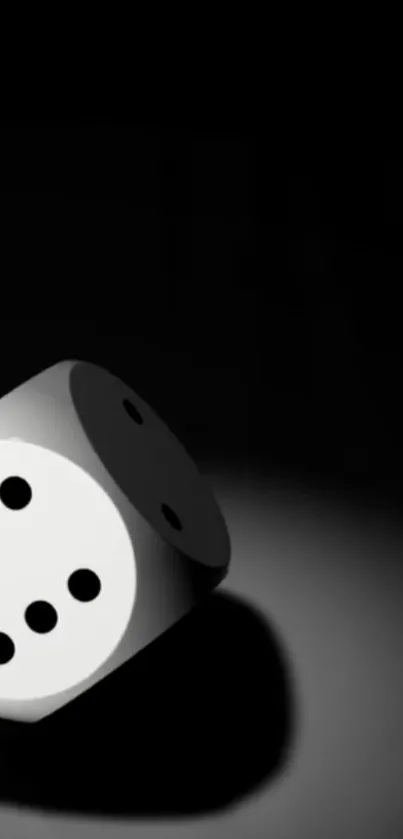 Black and white wallpaper featuring a dice casting shadows.