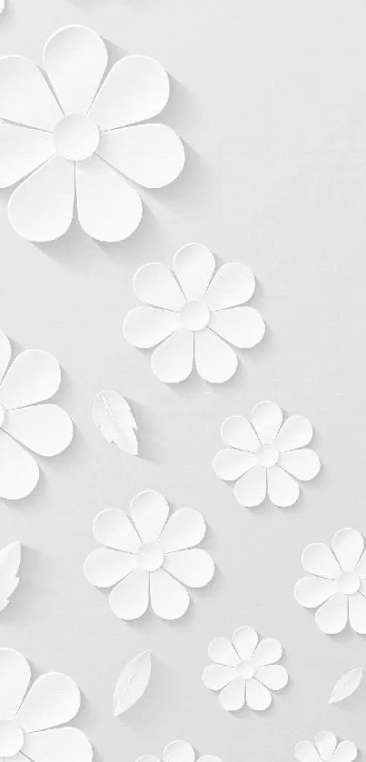 Minimalist wallpaper with white floral cutouts on a light background.