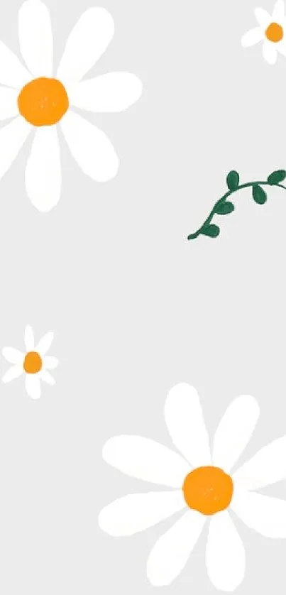 Minimalist floral wallpaper with daisies and vines on light gray background.