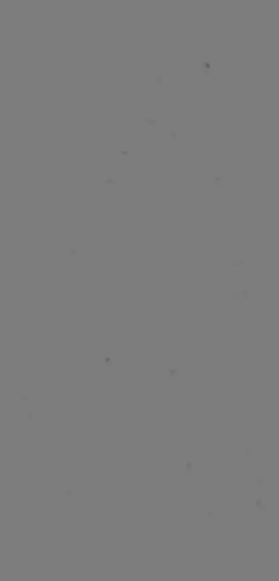 Minimalist gray wallpaper with small dark specks for mobile phones.