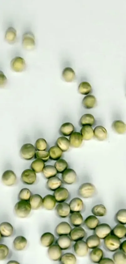 Minimalist green peas scattered on a light background for a fresh wallpaper.