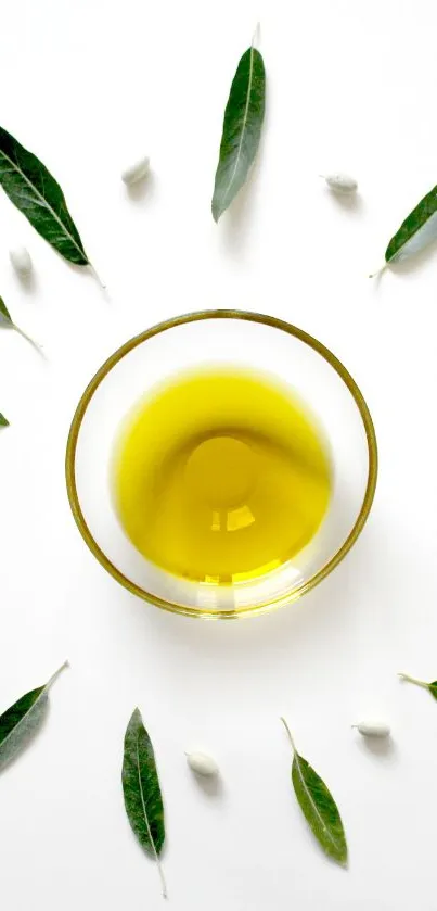 Olive oil bowl with leaves on minimalist white background.