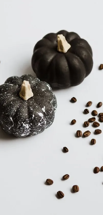 Black pumpkins with coffee beans on white background.