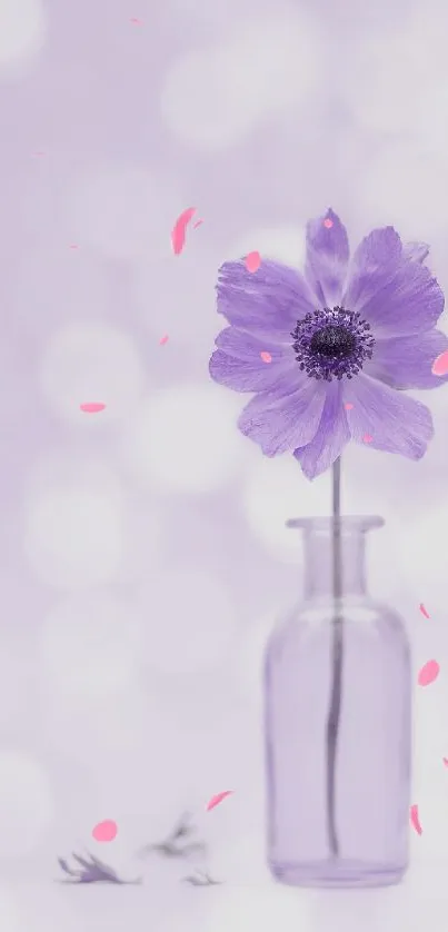 Minimalist mobile wallpaper with a purple flower in a glass vase.