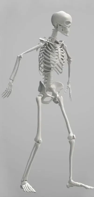 A minimalist 3D skeleton on a gray background for mobile wallpaper.