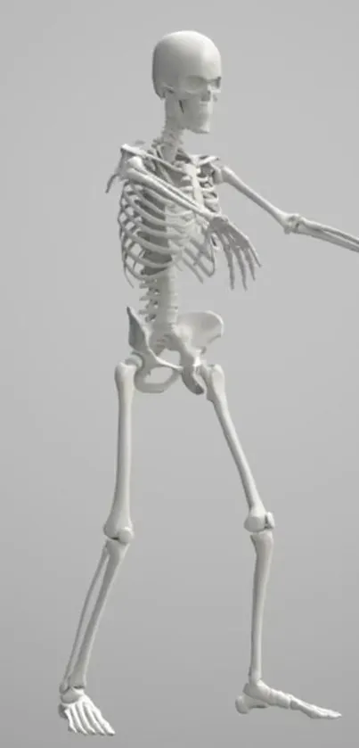 Minimalist skeleton on gray background for mobile wallpaper.