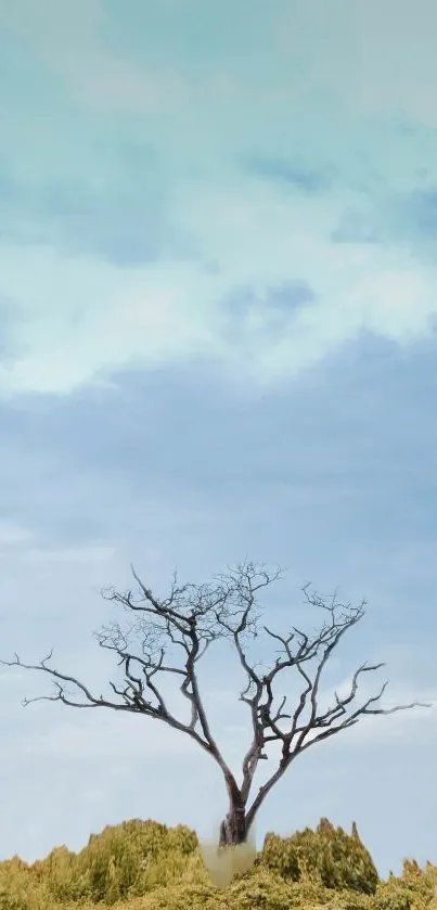 Minimalist wallpaper with a tree and sky.