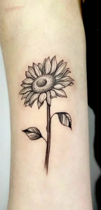 Elegant minimalist sunflower tattoo on arm.