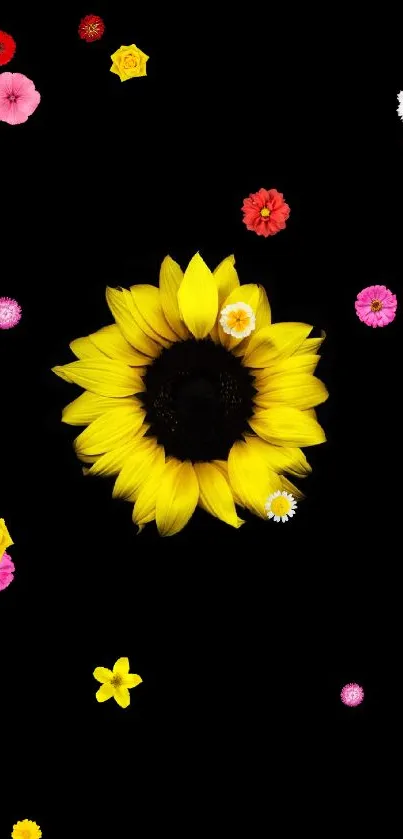 Minimalist sunflower on black background wallpaper.