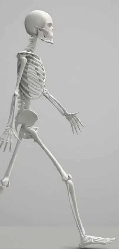 Minimalist walking skeleton on gray background mobile wallpaper.