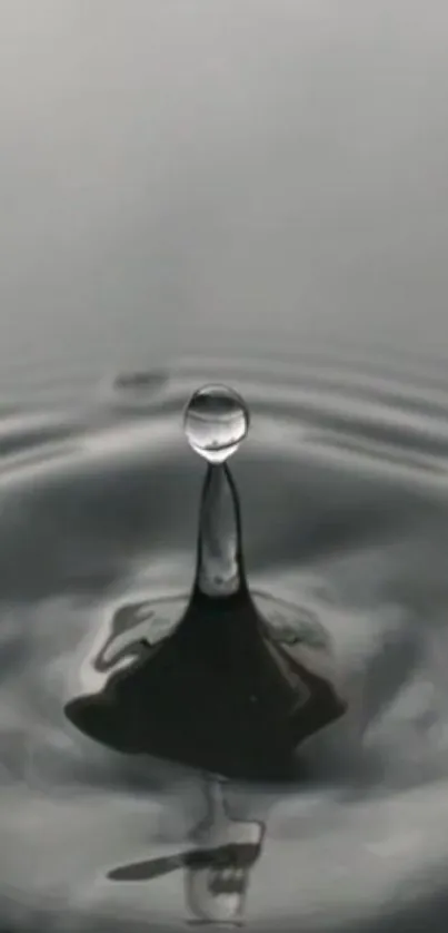 Black and white minimalist water droplet wallpaper.