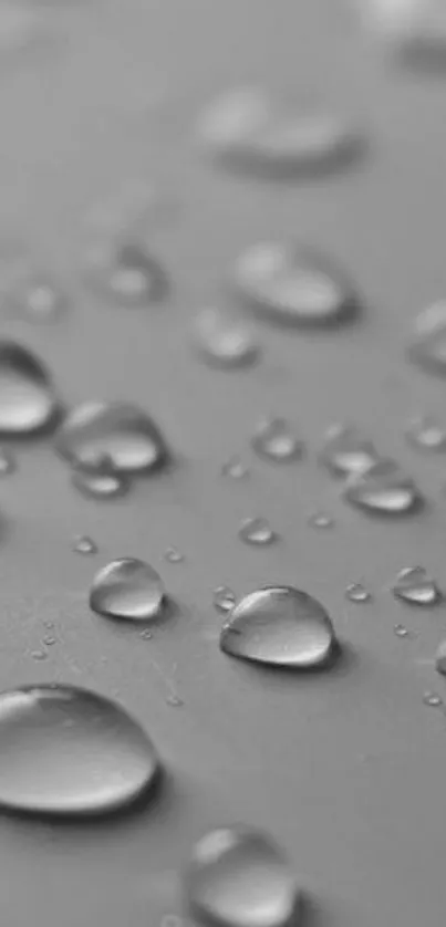 Gray minimalist wallpaper with water droplets