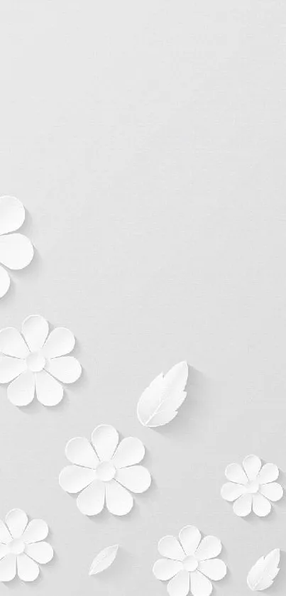 Minimalist wallpaper with white paper flowers on a light gray background.