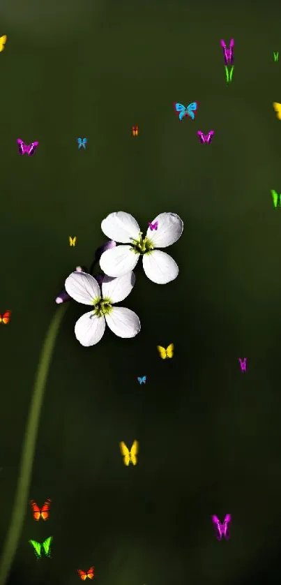 Minimalist wallpaper with a white flower on a dark green background.