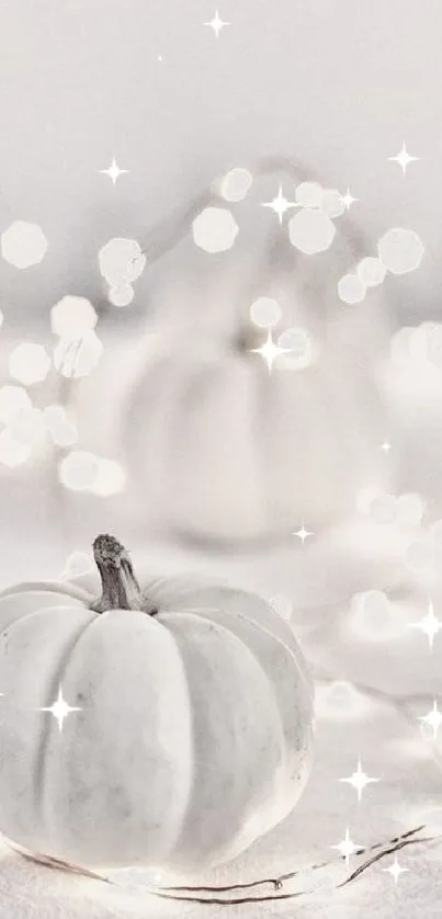 Minimalist white pumpkin with soft bokeh lights.