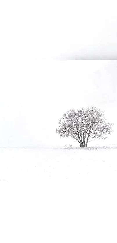 Minimalist wallpaper of a lone tree in a snowy winter landscape.