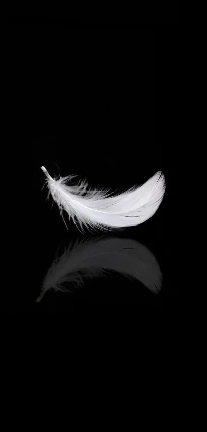 Minimalist mobile wallpaper with a white feather on a black background.