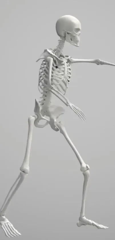 Minimalistic skeleton on a gray background wallpaper for mobile.