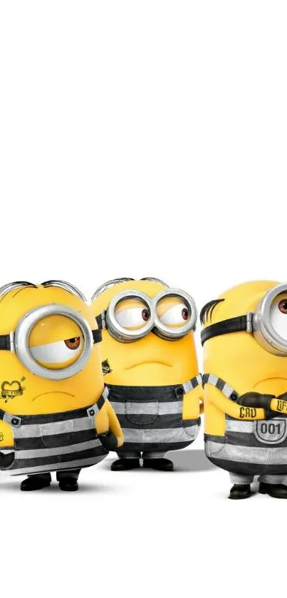 Minions in prison outfits with a white background.