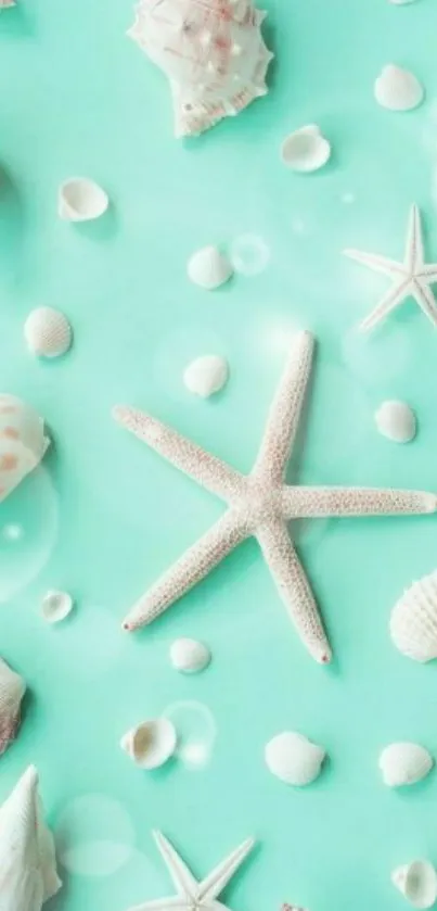 Mint green wallpaper with seashells and starfish design