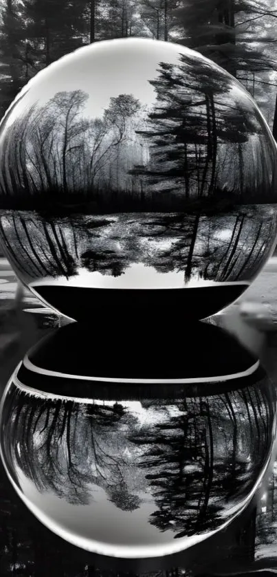 Black and white forest reflected in a glass sphere.