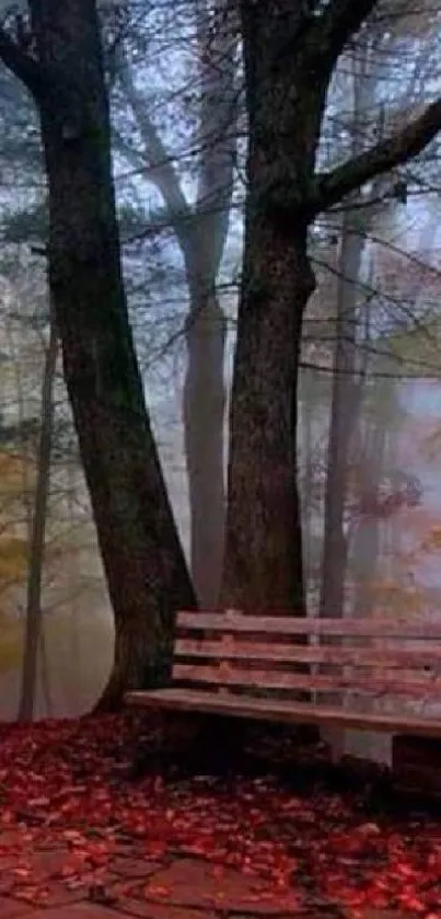 Misty forest with autumn leaves and benches on a foggy path.