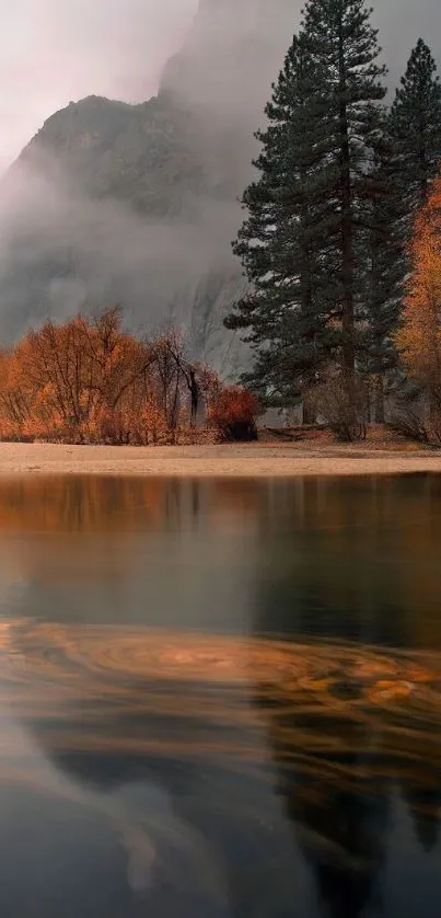 Misty autumn lake with tall pine trees and serene reflections.