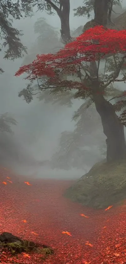 Misty forest path with vibrant red leaves.