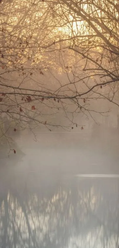 Misty river with autumn trees and sunlight reflections.