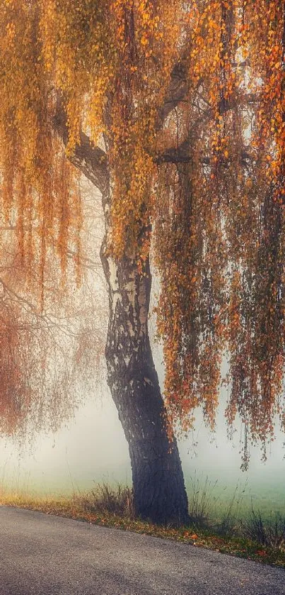 Autumn tree with golden brown leaves in a misty landscape.