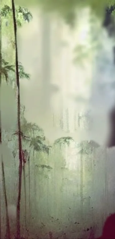 Misty bamboo forest mobile wallpaper with green hues.