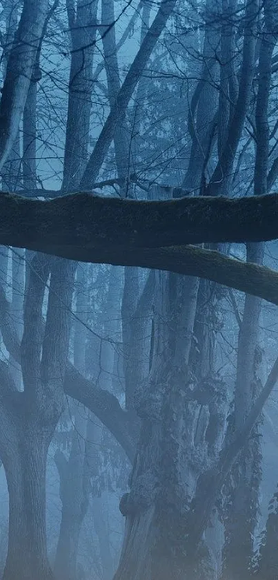 Misty blue forest with ethereal trees in dense fog.