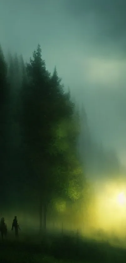 Misty forest with soft morning light piercing through trees, serene and calm.