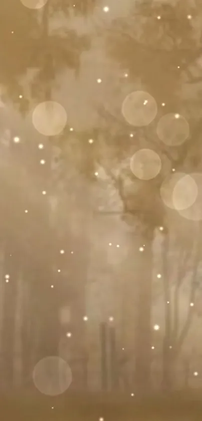 Misty forest with golden glow and light orbs creating a serene wallpaper.