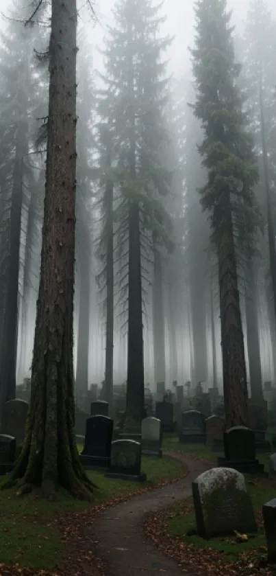 Misty forest graveyard with fog and towering trees.