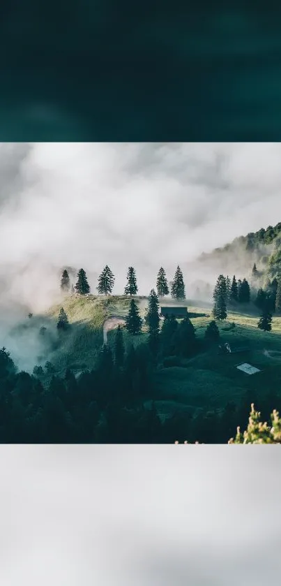 Misty forest hills with lush greenery and serene landscape.