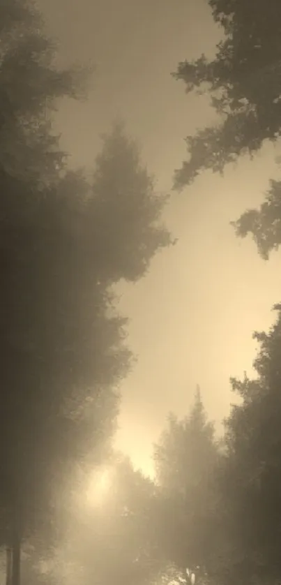 Sepia-toned misty forest with soft light filtering through trees.