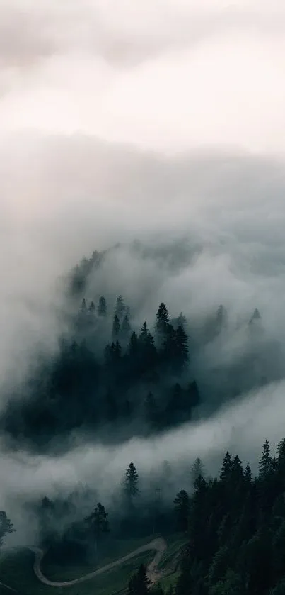 Misty forest with fog enveloping trees and hills.