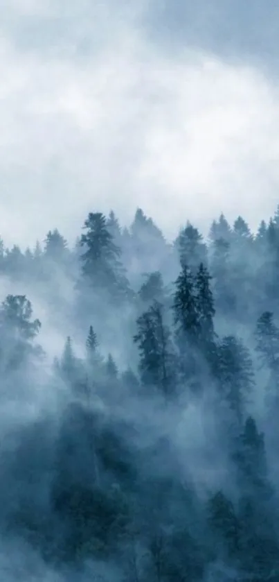 A serene misty forest with tall trees and gentle fog, perfect for calming ambiance.