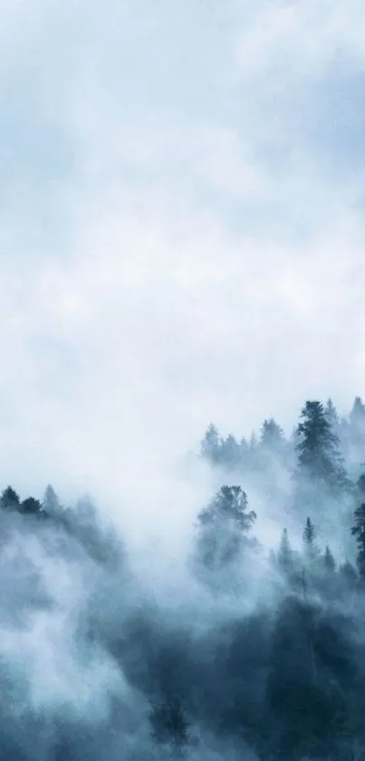 Misty forest mobile wallpaper with foggy trees.