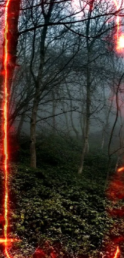 Misty forest with dense trees and a mysterious atmosphere.