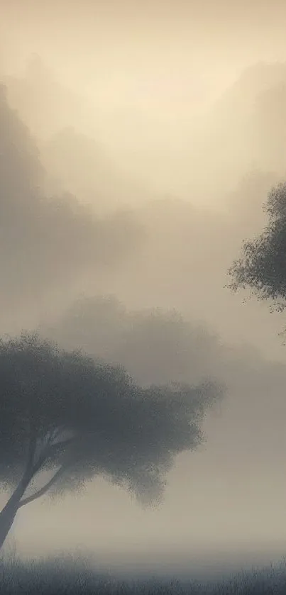 Misty forest landscape with trees in soft light and ambient mood.