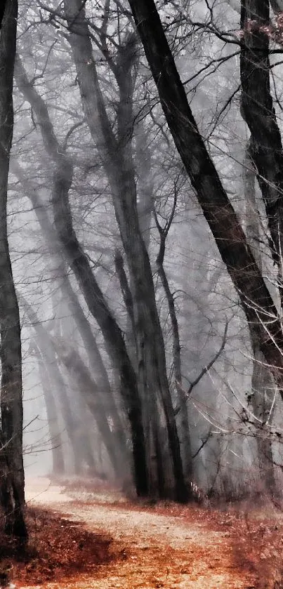 Foggy forest path with intertwining trees in a mystical landscape.