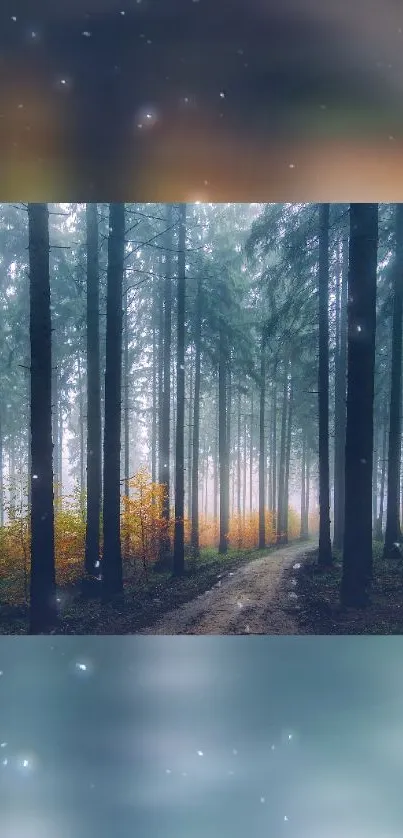 Misty forest path with towering trees and soft, glowing light.