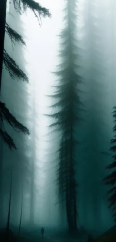 A misty forest with towering trees and tranquil fog, ideal for phone wallpaper.