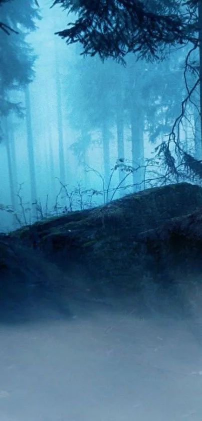 Misty forest wallpaper with blue hues.