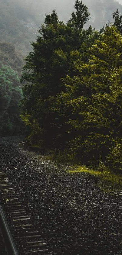 Misty forest railway path with lush green trees and tracks.