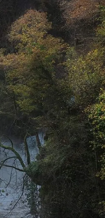 Misty forest river with autumn foliage.