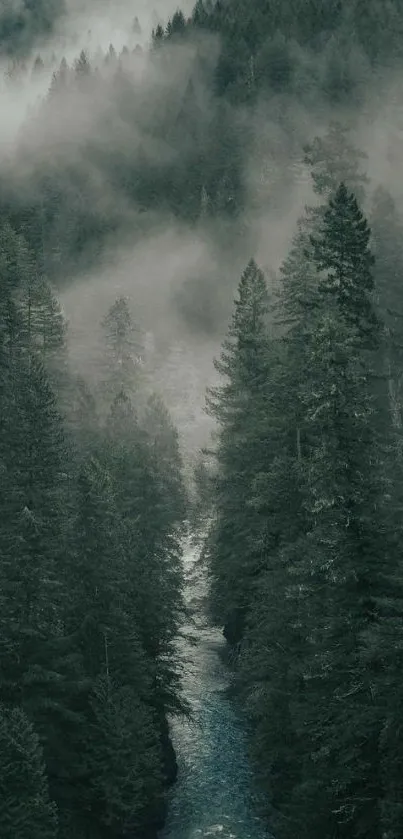 Misty forest river with lush green trees and a foggy atmosphere.