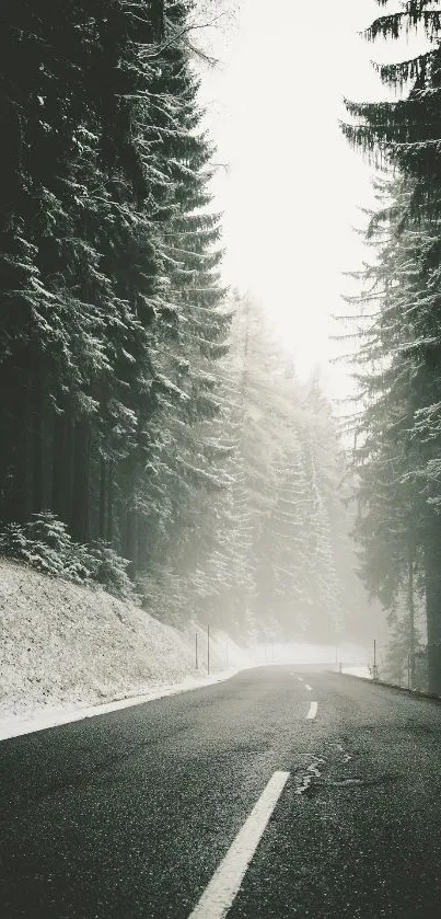 Misty forest road with snowfall and tall trees